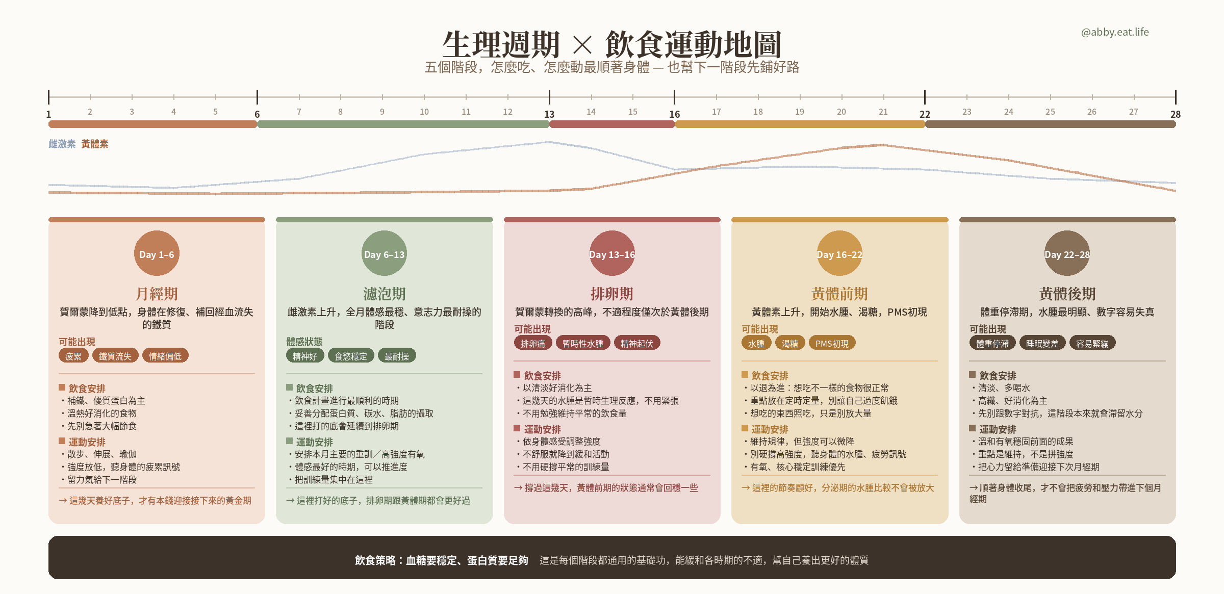 生理週期 × 飲食運動地圖，五階段時間軸與荷爾蒙曲線